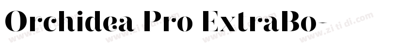 Orchidea Pro ExtraBo字体转换